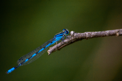 3g比分直播:随时随地掌握最新赛事动态