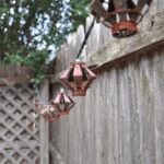 2025051期双色球开奖结果查询与号码公布 32cchp