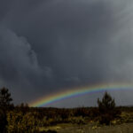 2025033期双色球开奖号码及结果查询 66fm17i