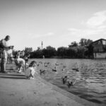 2025053期开奖结果最新公布,大奖花落谁家? 6r542harqg