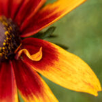 2025035期双色球开奖号码及结果查询 8ii6e7