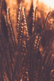 2025025期开奖结果出现异常引发热议