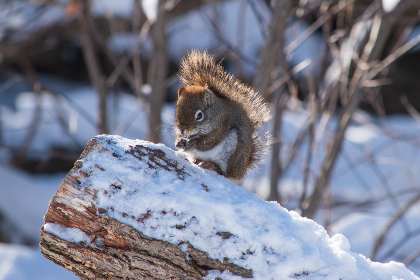 3了开奖公告正式发布,幸运得主揭晓时刻