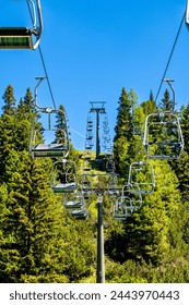 2025026期开奖结果公布最新号码揭晓