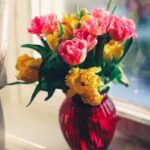 2025021期开奖结果公布最新中奖号码查询 imlkq2