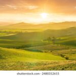 2025060期双色球开奖号码结果查询 q4id4k62i