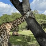 2025030期彩票开奖结果最新公布,大奖花落谁家? rfmkrna