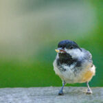 2025034期双色球开奖号码结果正式公布 rt90jd