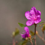 3开奖号图最新走势分析与历史数据汇总 rz7mh02d