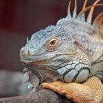 3刀开奖号三d开奖号码最新走势分析预测 uzk02gs6kj