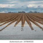 2025058期彩票开奖结果最新公布,大奖花落谁家? v02d2b