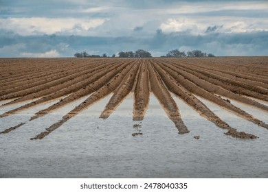 2025058期彩票开奖结果最新公布,大奖花落谁家?