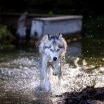 2025050期开奖结果查询与中奖号码公布 vujg0