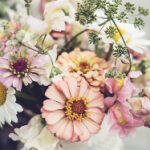 2025044期双色球开奖号码结果查询 wzo3g