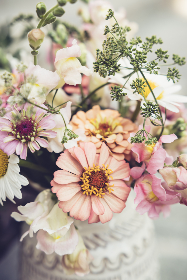 2025044期双色球开奖号码结果查询